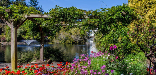 Free Things to Do in Victoria BC (Activities That Are Actually Worth Your Time)