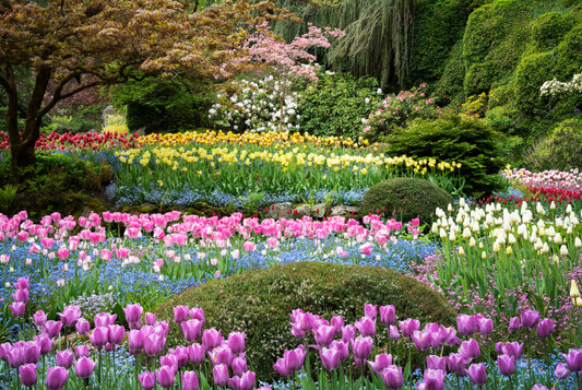 Four Shining Examples Why Victoria is Called "The Garden City"