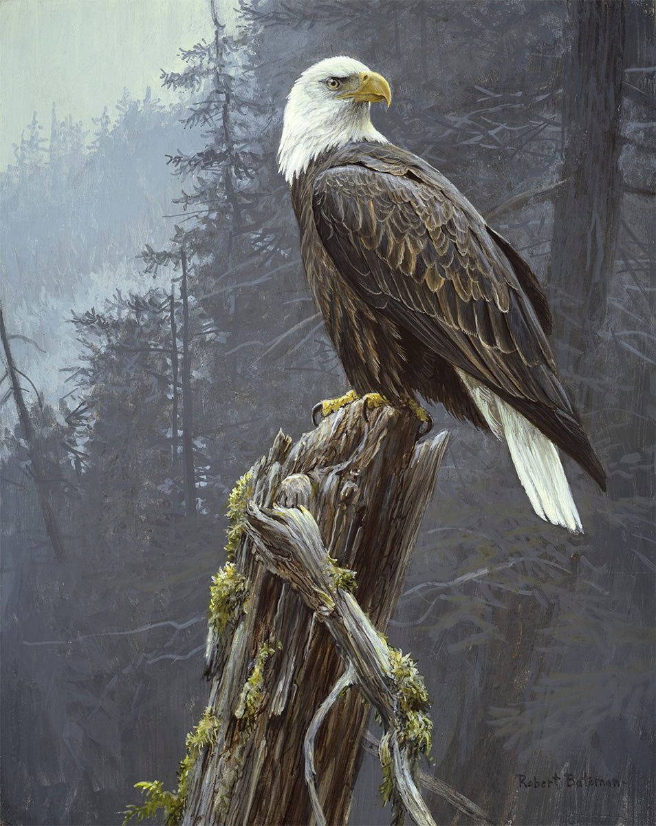 Robert Bateman: The World-Famous Wildlife Artist Who Made Vancouver Island Home