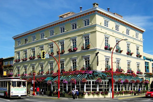 Michael Williams: The Soul of Swans Pub