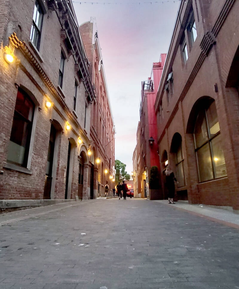 Waddington Alley: The Last Wooden Brick Street in Victoria.
