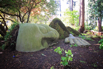 Forest Bathing Walking Tour